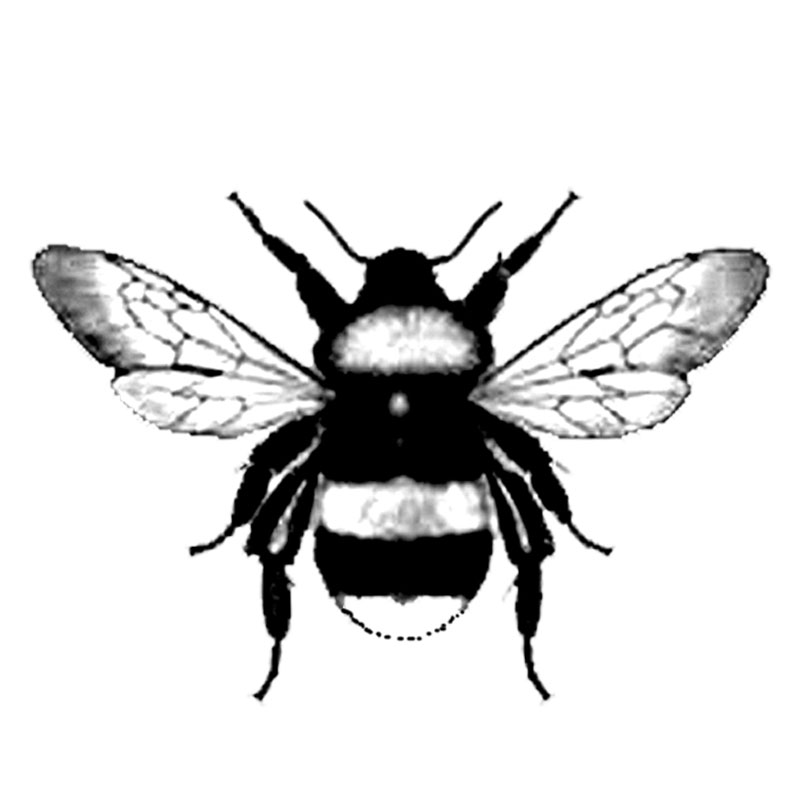 #2334c - Bumble Bee - Nature